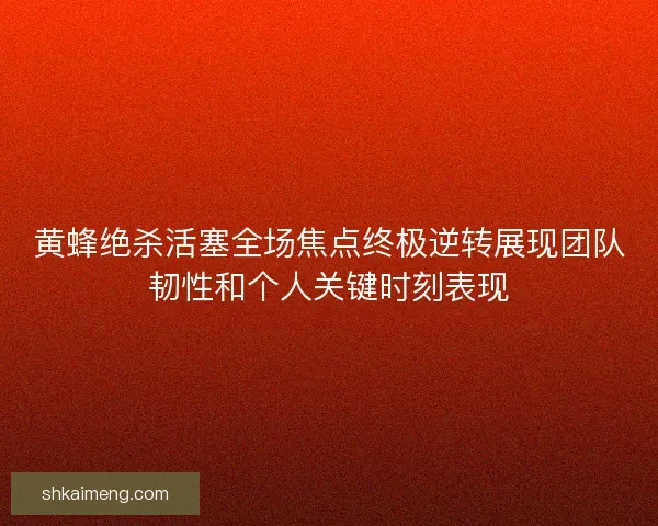 黄蜂绝杀活塞全场焦点终极逆转展现团队韧性和个人关键时刻表现