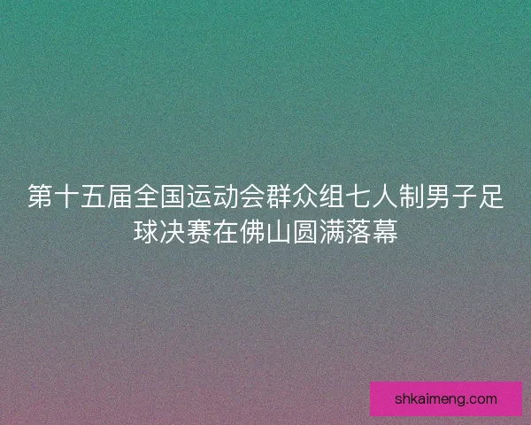 第十五届全国运动会群众组七人制男子足球决赛在佛山圆满落幕