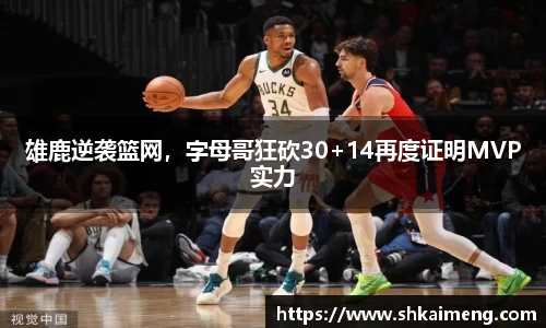 mk体育官网
