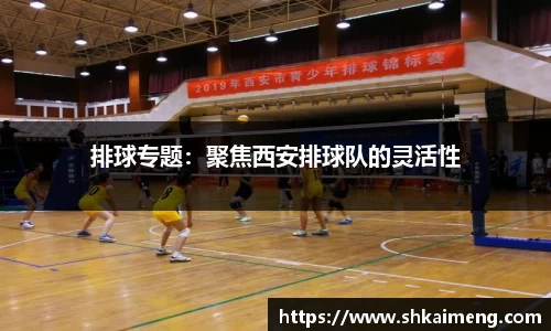 mk体育官网