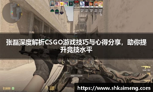 mk体育官网