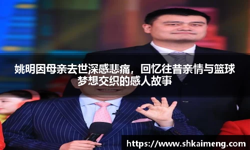 mk体育官网