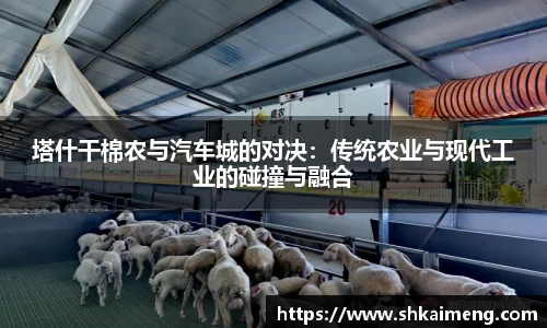 mk体育官网