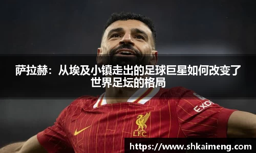 mk体育官网